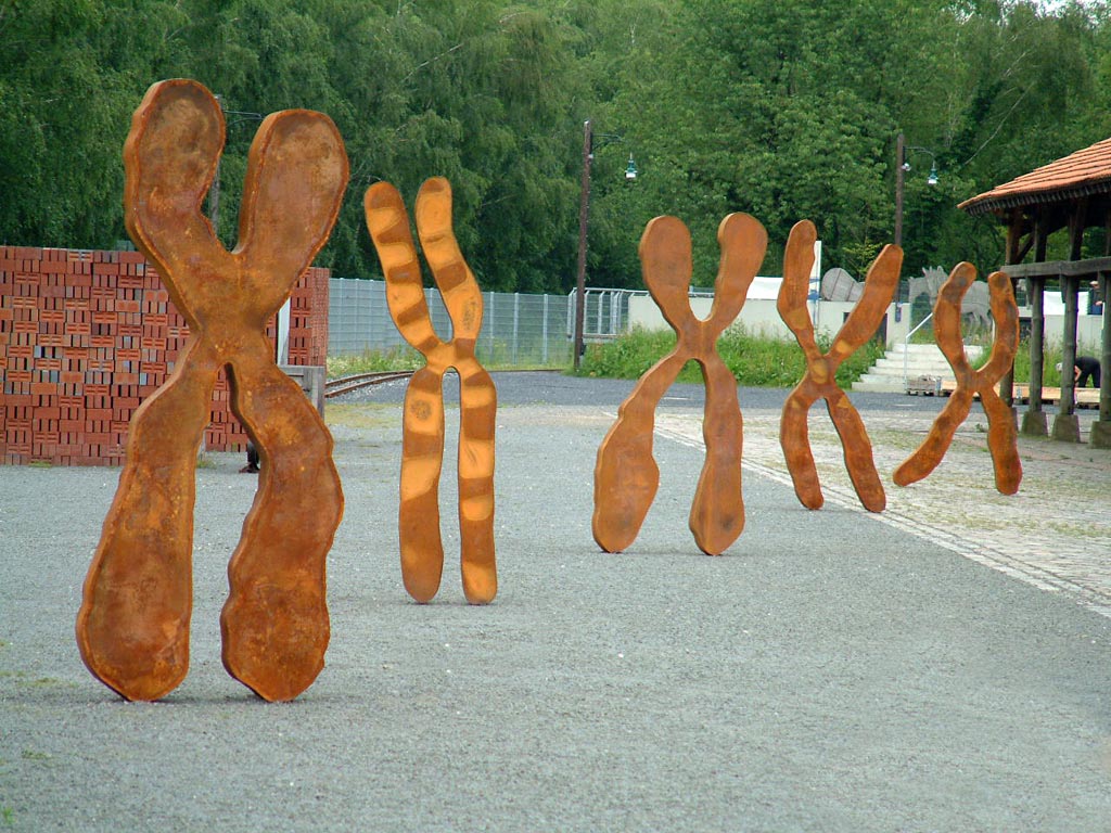 Stahlskulptur-Metallskulptur-Skulptur-Sculpture-Steelsculpture-Skulpturen-Skulptur-Stahlskulpturen-Stahlobjekte-skulptu-Kunst- Kunstobjekte-Gartenobjekte-Bildhauer-Künstle-Röderer-Roederer-roederer- Edelstahlskulpturen-Stahlskulpturen-Tierskulpturen-Gartenskulpturen-Stahlkunst-Cortenstahl