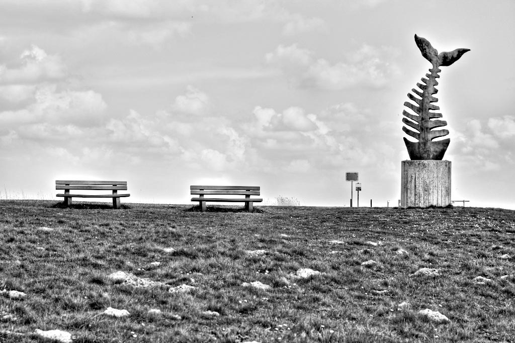 Stahlskulptur-Metallskulptur-Skulptur-Sculpture-Steelsculpture-Skulpturen-Skulptur-Stahlskulpturen-Stahlobjekte-skulptu-Kunst- Kunstobjekte-Gartenobjekte-Bildhauer-Künstle-Röderer-Roederer-roederer- Edelstahlskulpturen-Stahlskulpturen-Tierskulpturen-Gartenskulpturen-Stahlkunst-Cortenstahl