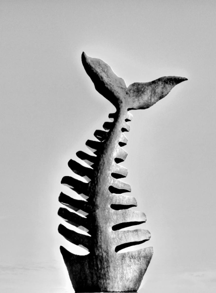 Stahlskulptur-Metallskulptur-Skulptur-Sculpture-Steelsculpture-Skulpturen-Skulptur-Stahlskulpturen-Stahlobjekte-skulptu-Kunst- Kunstobjekte-Gartenobjekte-Bildhauer-Künstle-Röderer-Roederer-roederer- Edelstahlskulpturen-Stahlskulpturen-Tierskulpturen-Gartenskulpturen-Stahlkunst-Cortenstahl